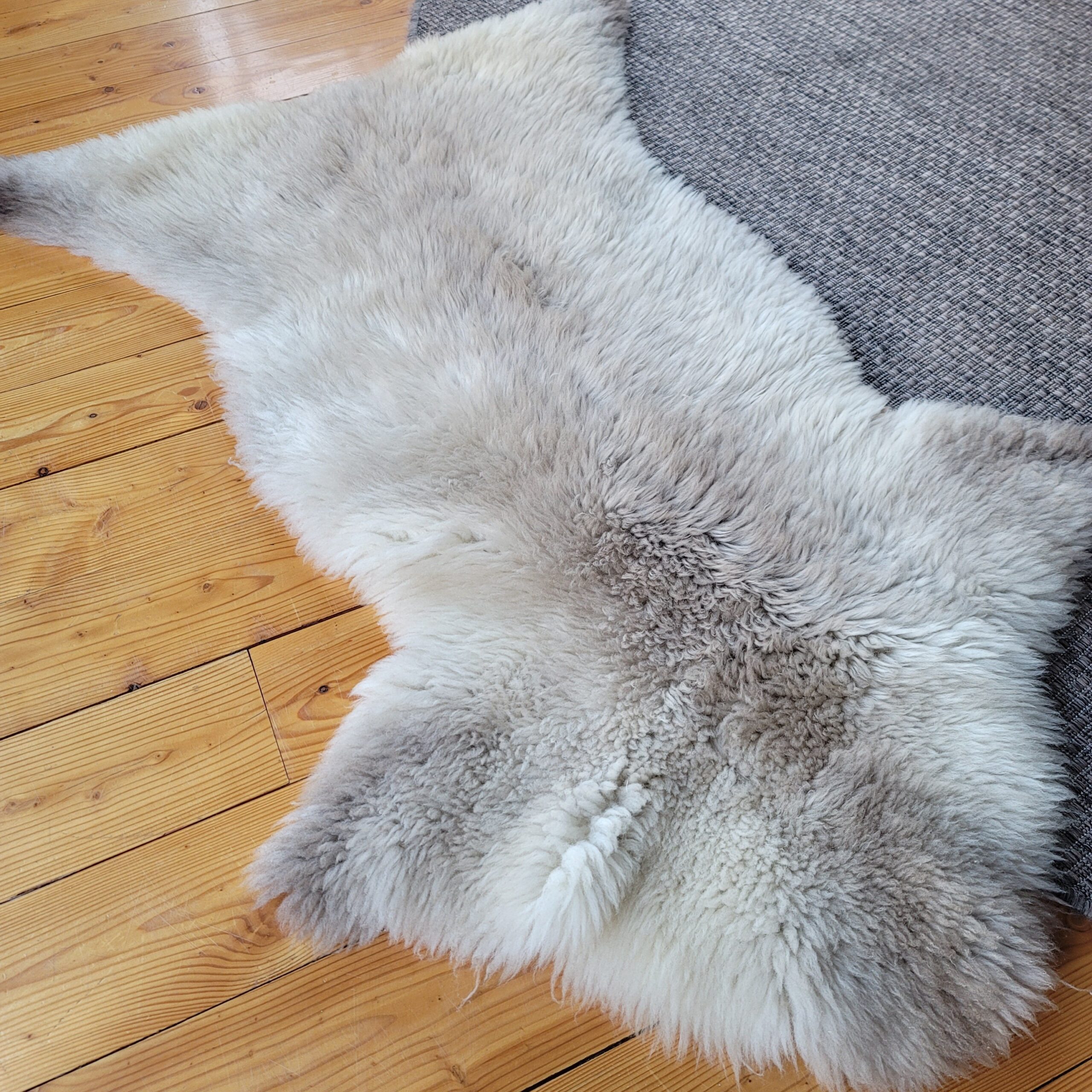 Rare German Sheepskin Soft Natural Tan Throw 53″ × 34″ - Image 3