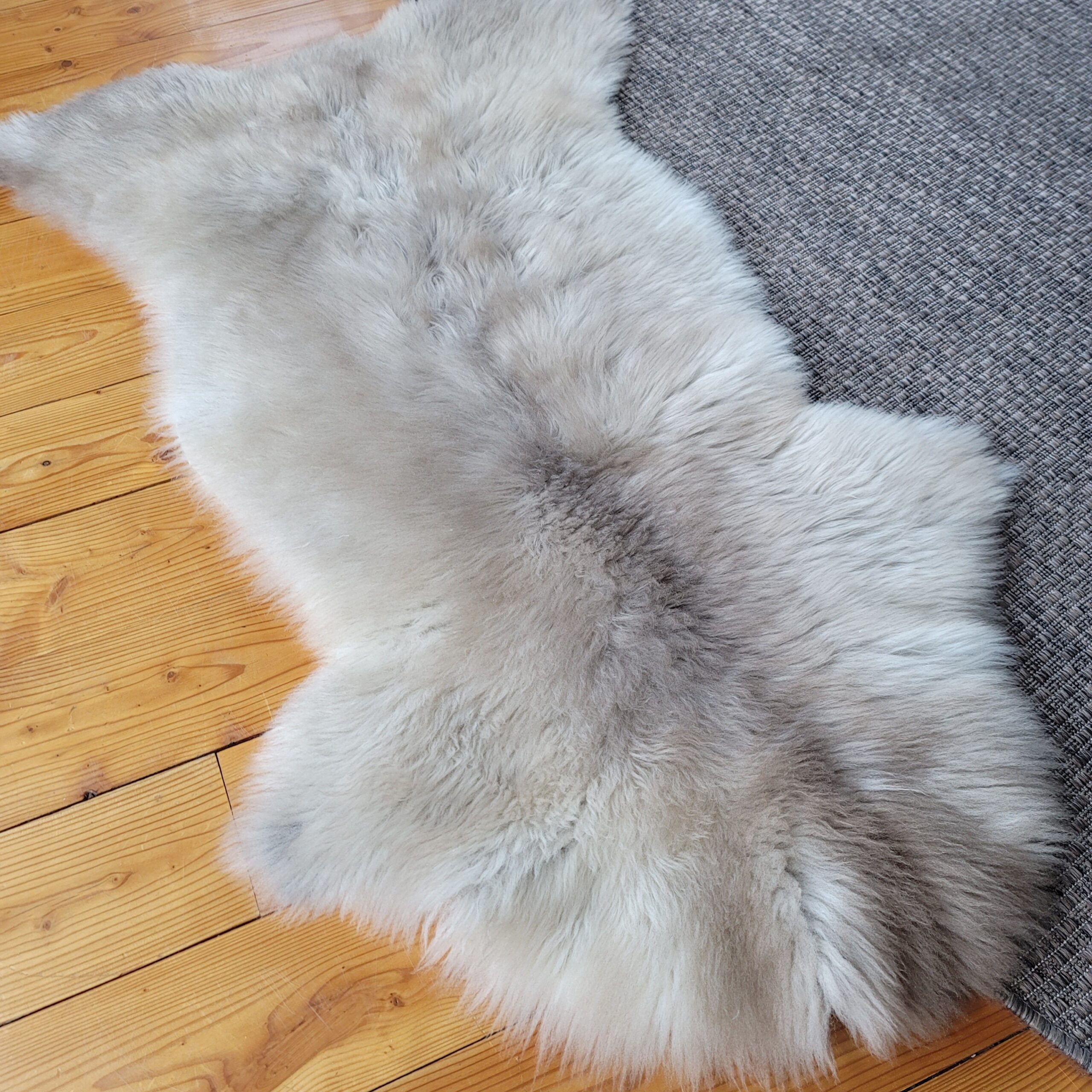 Rare German Sheepskin Natural Gray Supple Throw 47″ × 30″ - Image 2