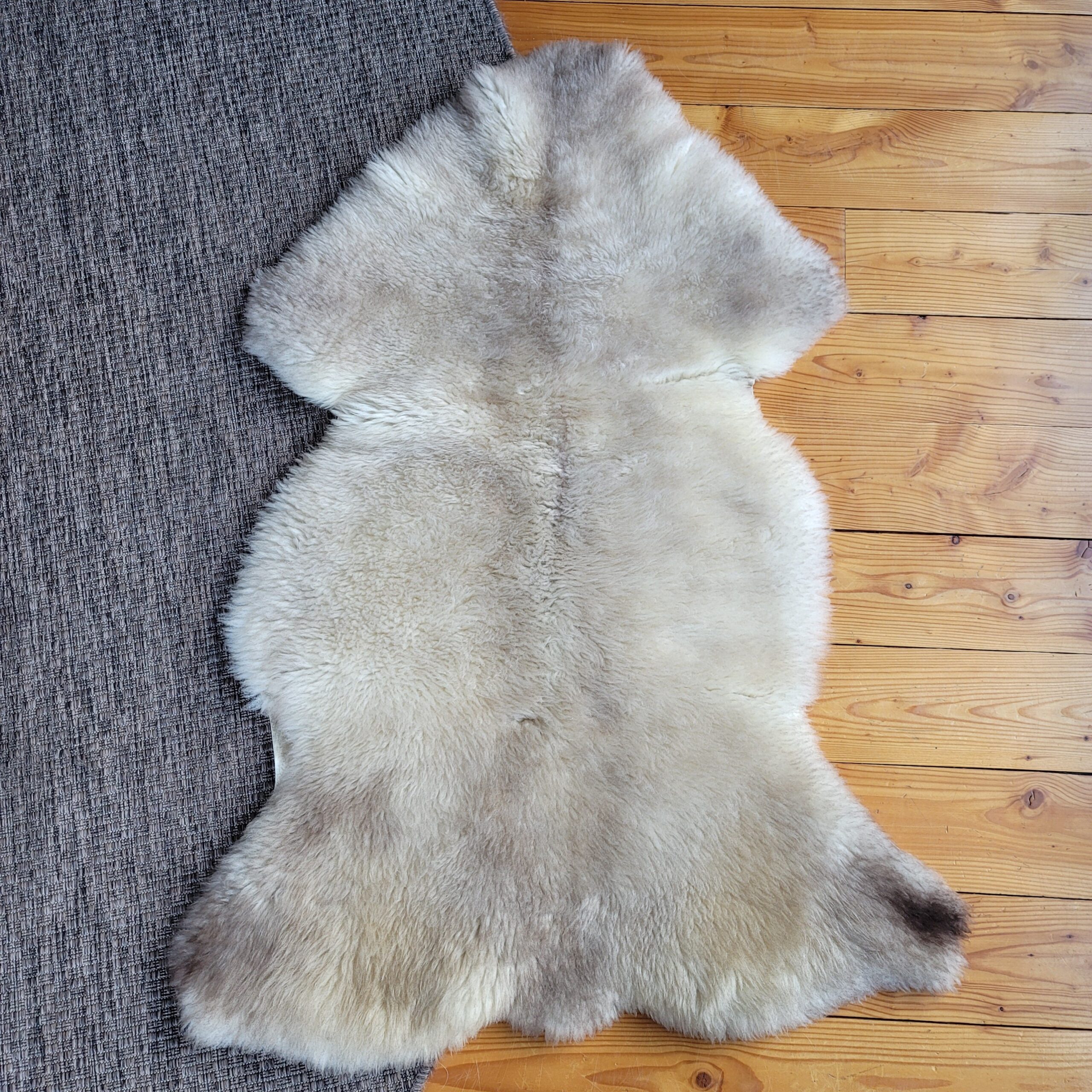 Rare German Sheepskin Tan, Gray & Cream Country Accent 46″ × 33″ - Image 2
