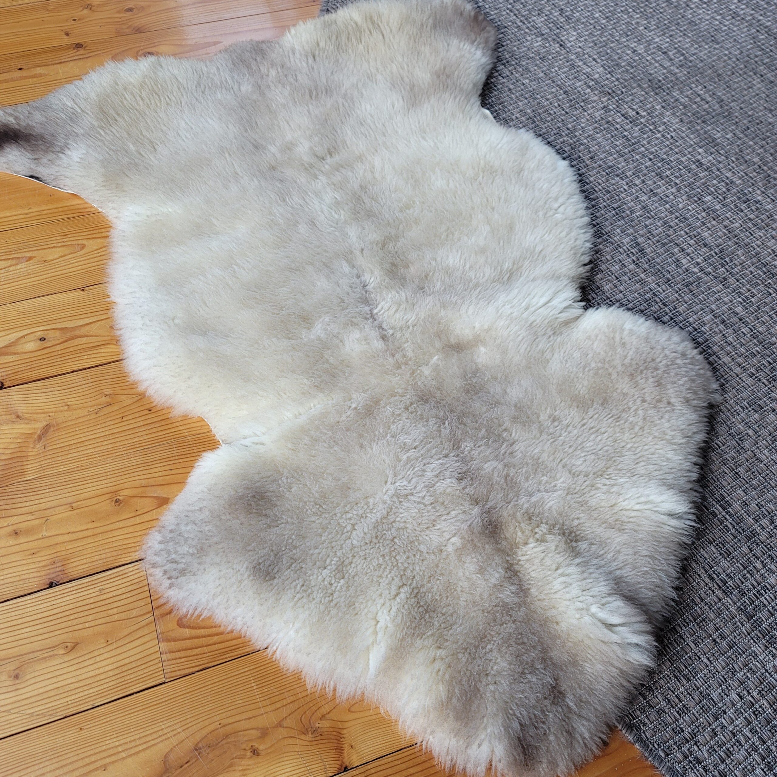 Rare German Sheepskin Tan, Gray & Cream Country Accent 46″ × 33″ - Image 3