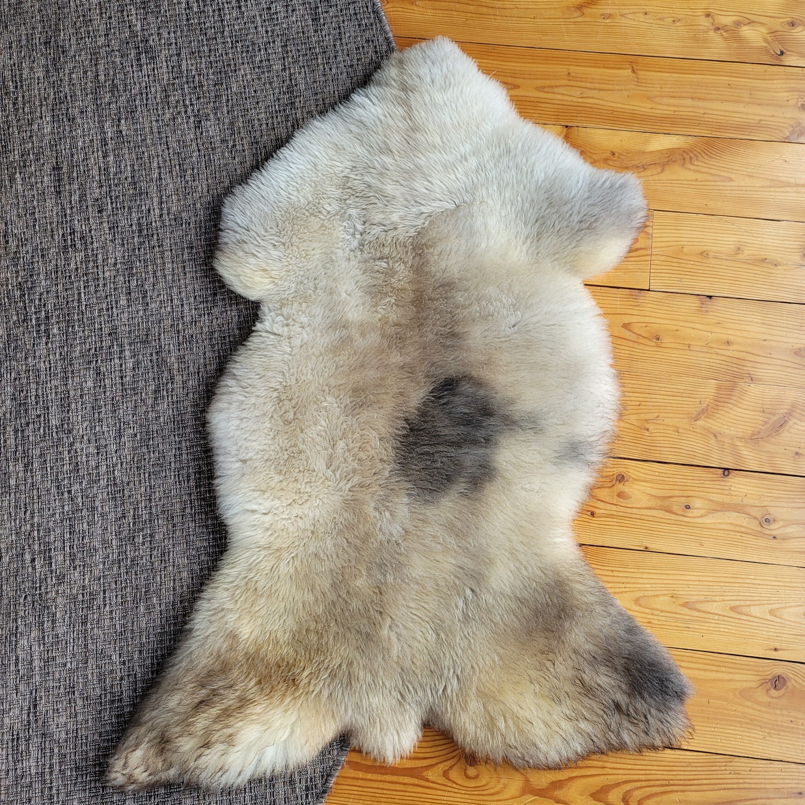 Rare German Sheepskin Distinctive Rustic Texture 46″ × 31″ - Image 3
