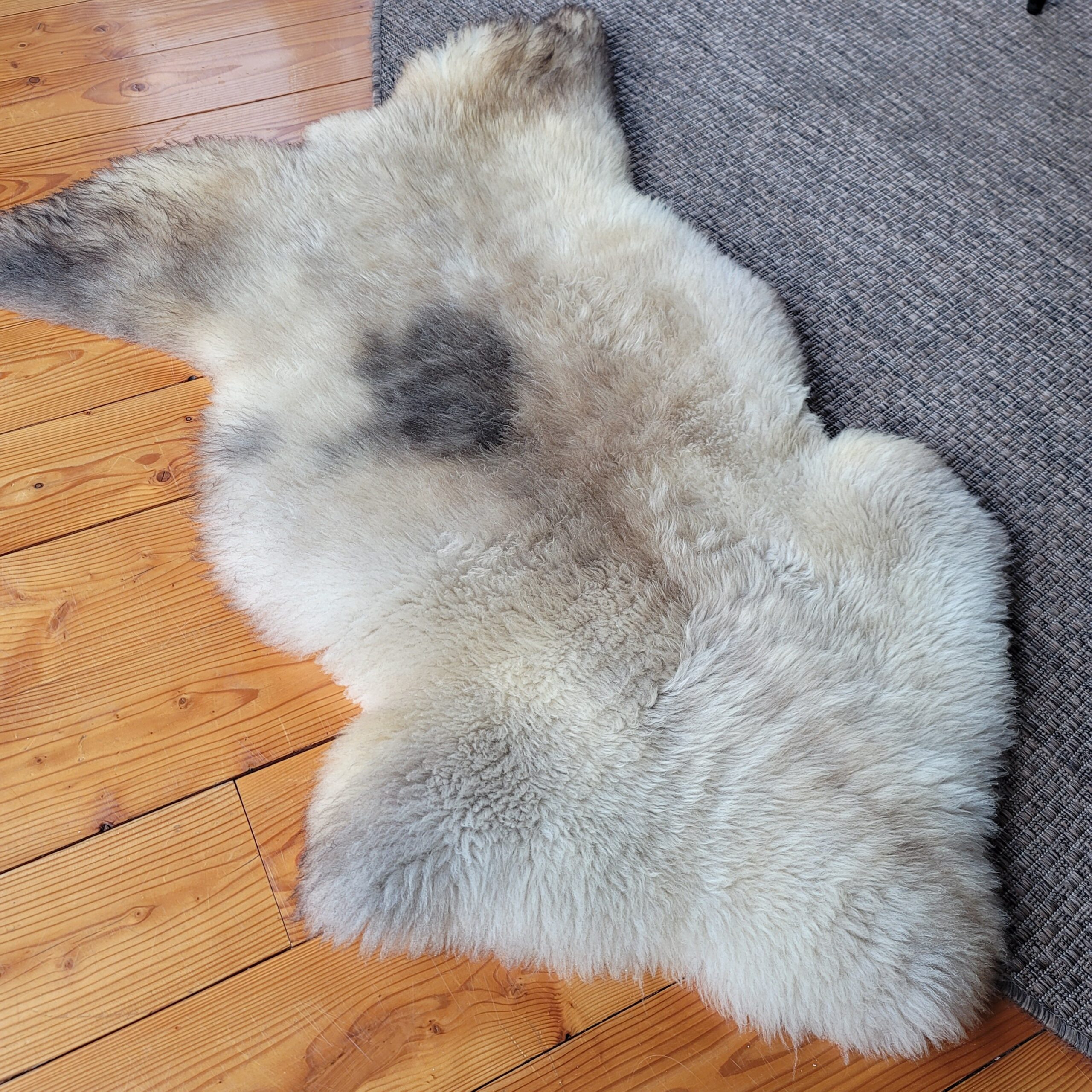 Rare German Sheepskin Distinctive Rustic Texture 46″ × 31″ - Image 2