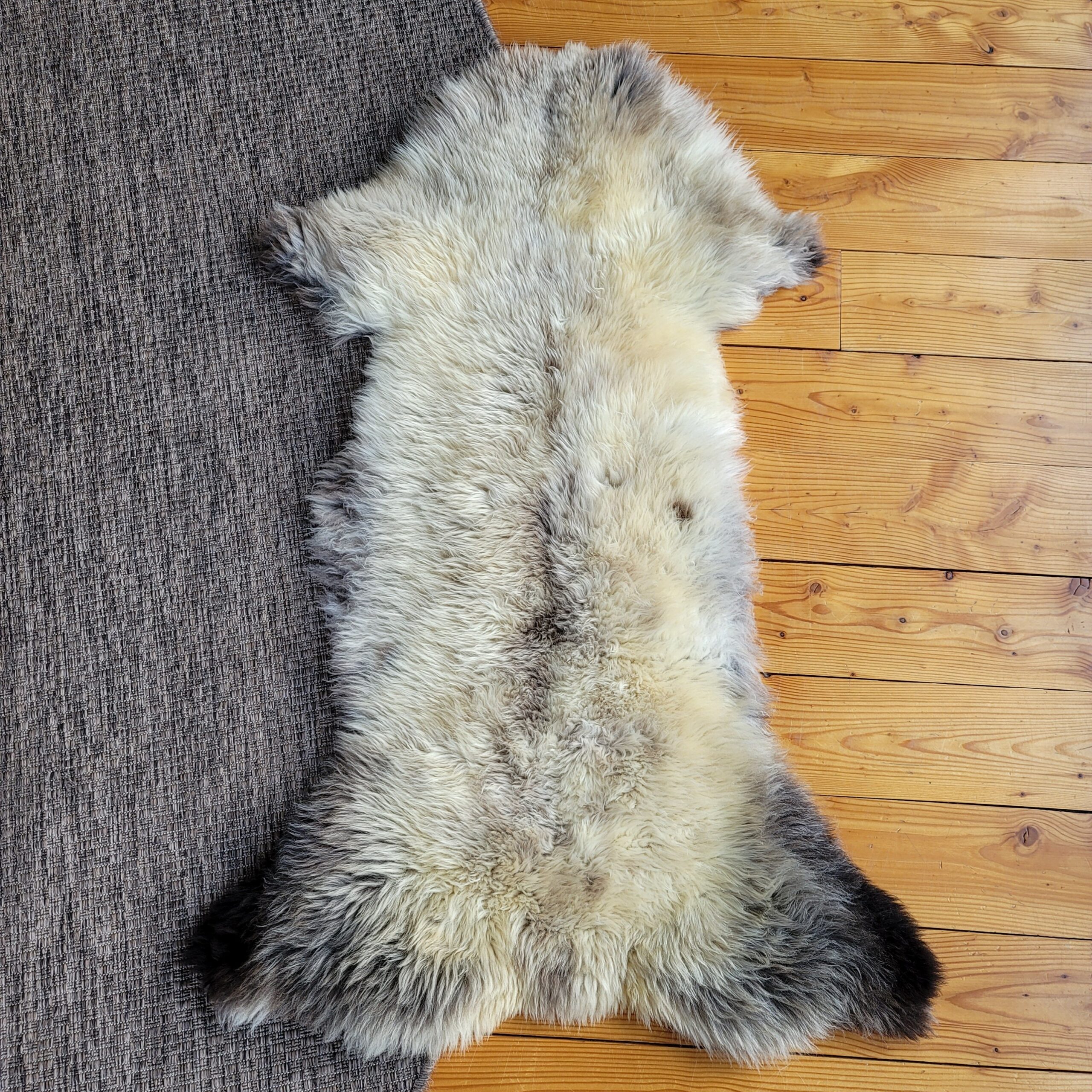 Rare German Sheepskin Narrow-Profile Rustic Hide 46″ × 30″ - Image 4
