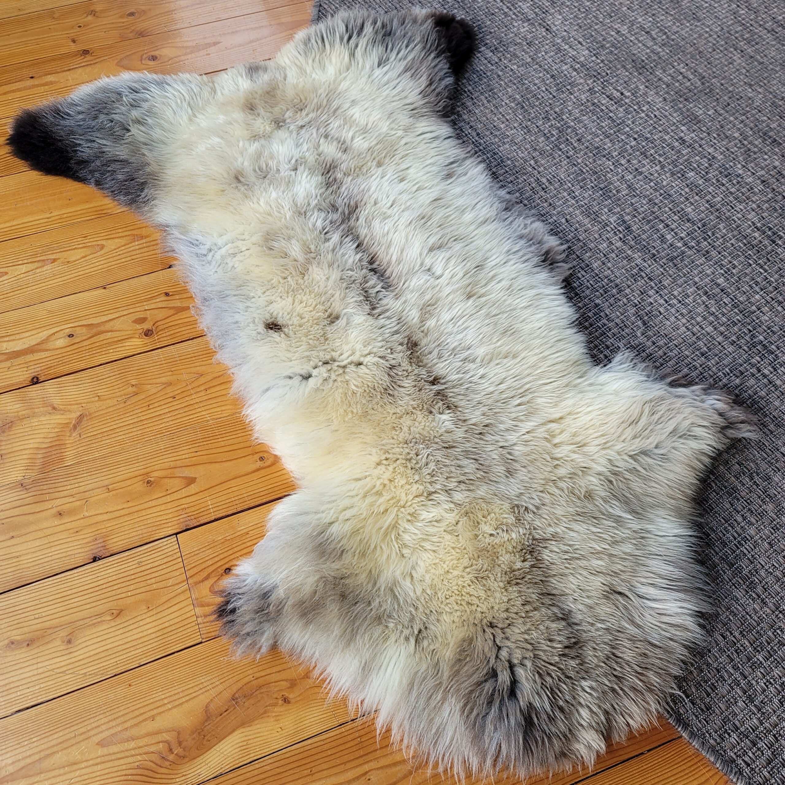 Rare German Sheepskin Narrow-Profile Rustic Hide 46″ × 30″ - Image 5