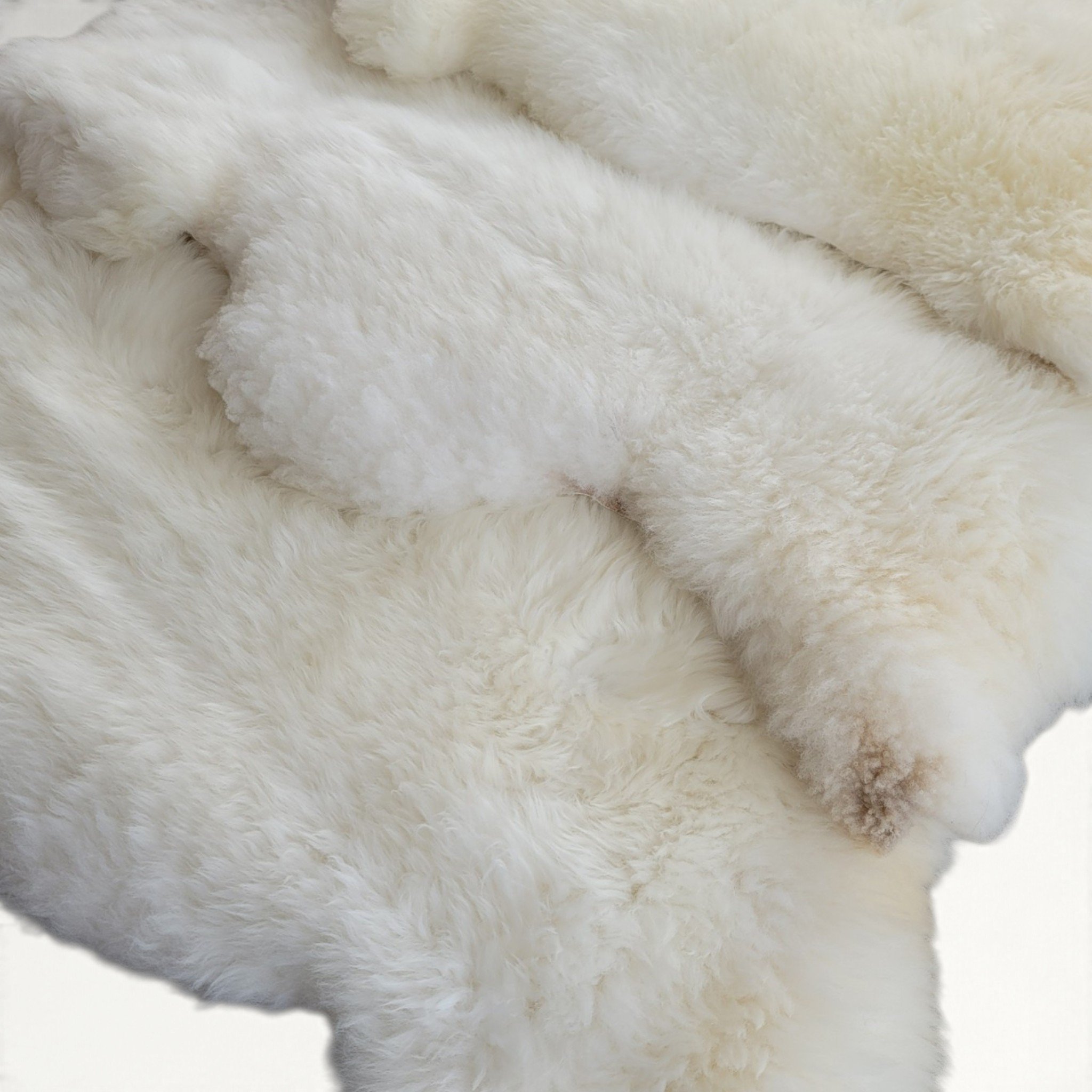 XXL Big Cozy White Sheepskins (Limited Availability) - Image 4